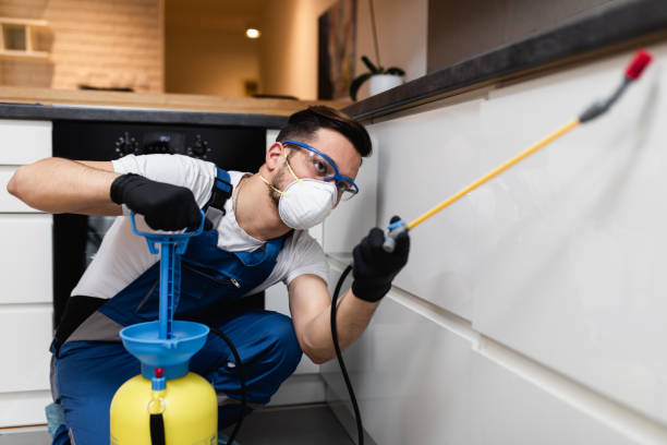 Professional Pest Control in Tallulah, LA