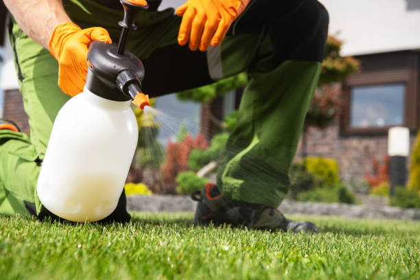 Best Pest Inspection Near Me  in Talluh, LA