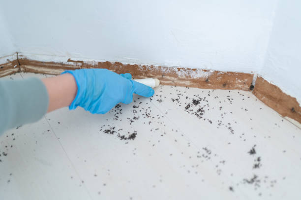 Best Wildlife Control Services  in Talluh, LA
